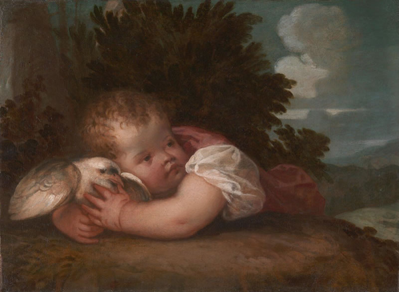 A Boy with a Bird