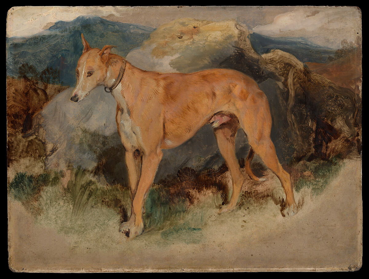 A Deerhound