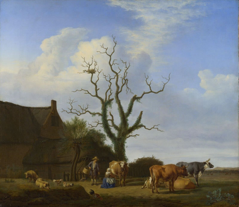 A Farm with a Dead Tree