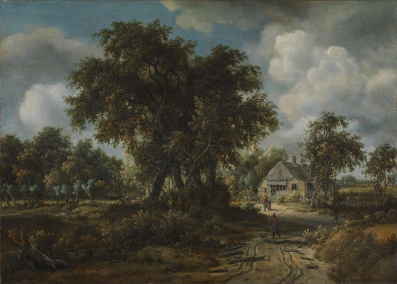 A Woody Landscape