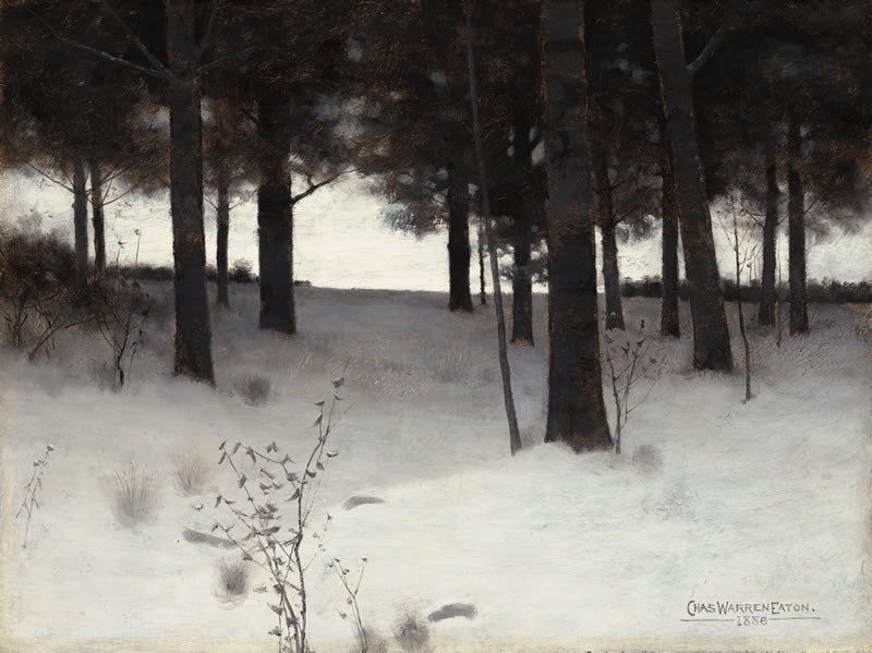 Woods in Winter