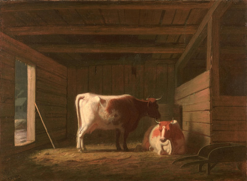 Daybreak in a Stable