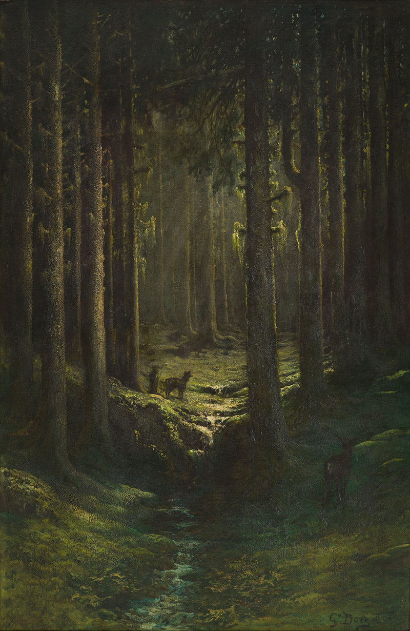 Deer in a Pine Forest (Vosges) (Biches dans une forêt de sapins [Vosges])