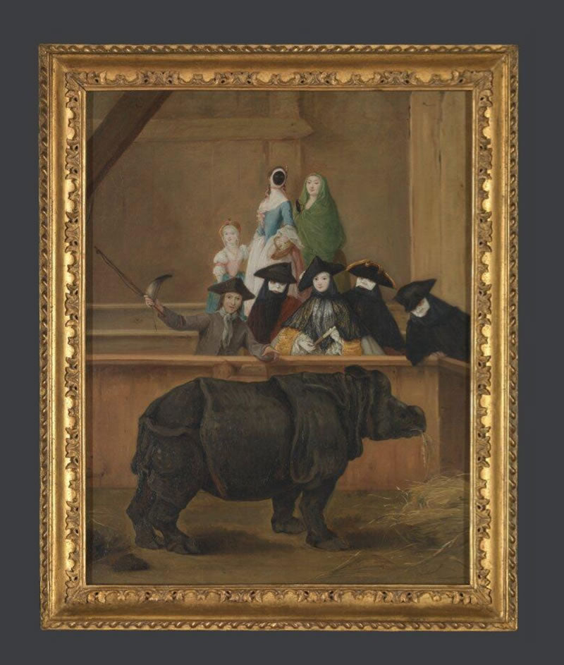 Exhibition of a Rhinoceros at Venice