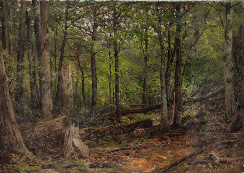 Forest Interior