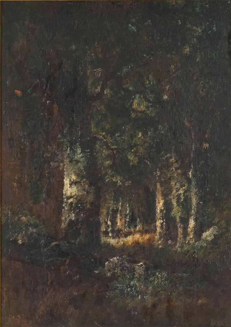 Forest Scene