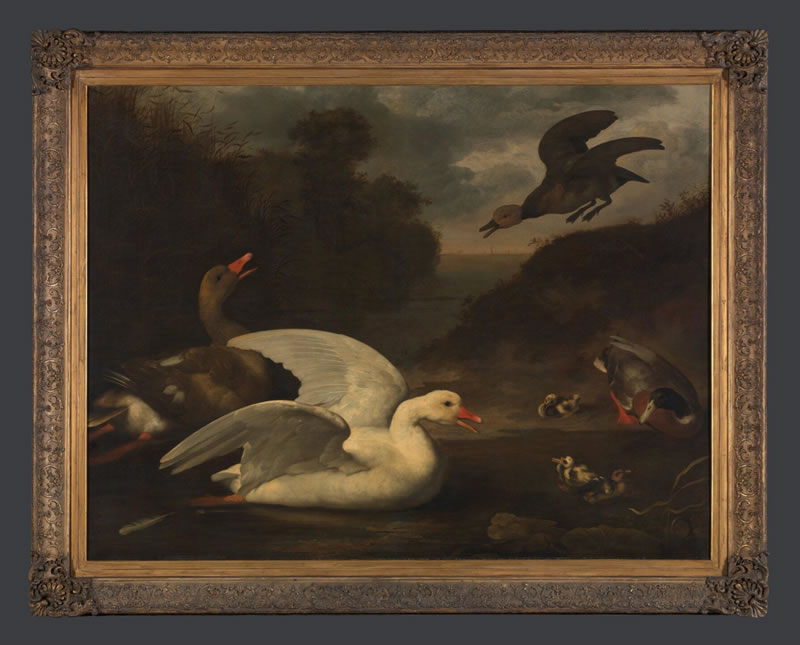 Geese and Ducks