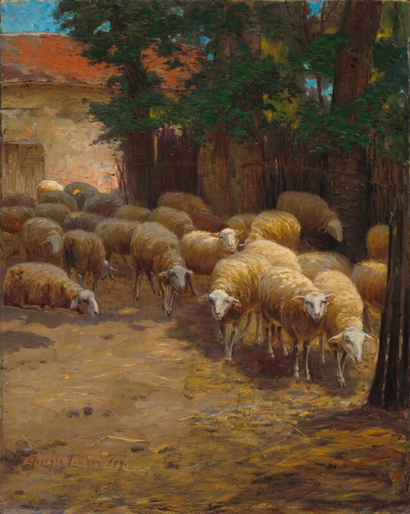 Flock of Sheep
