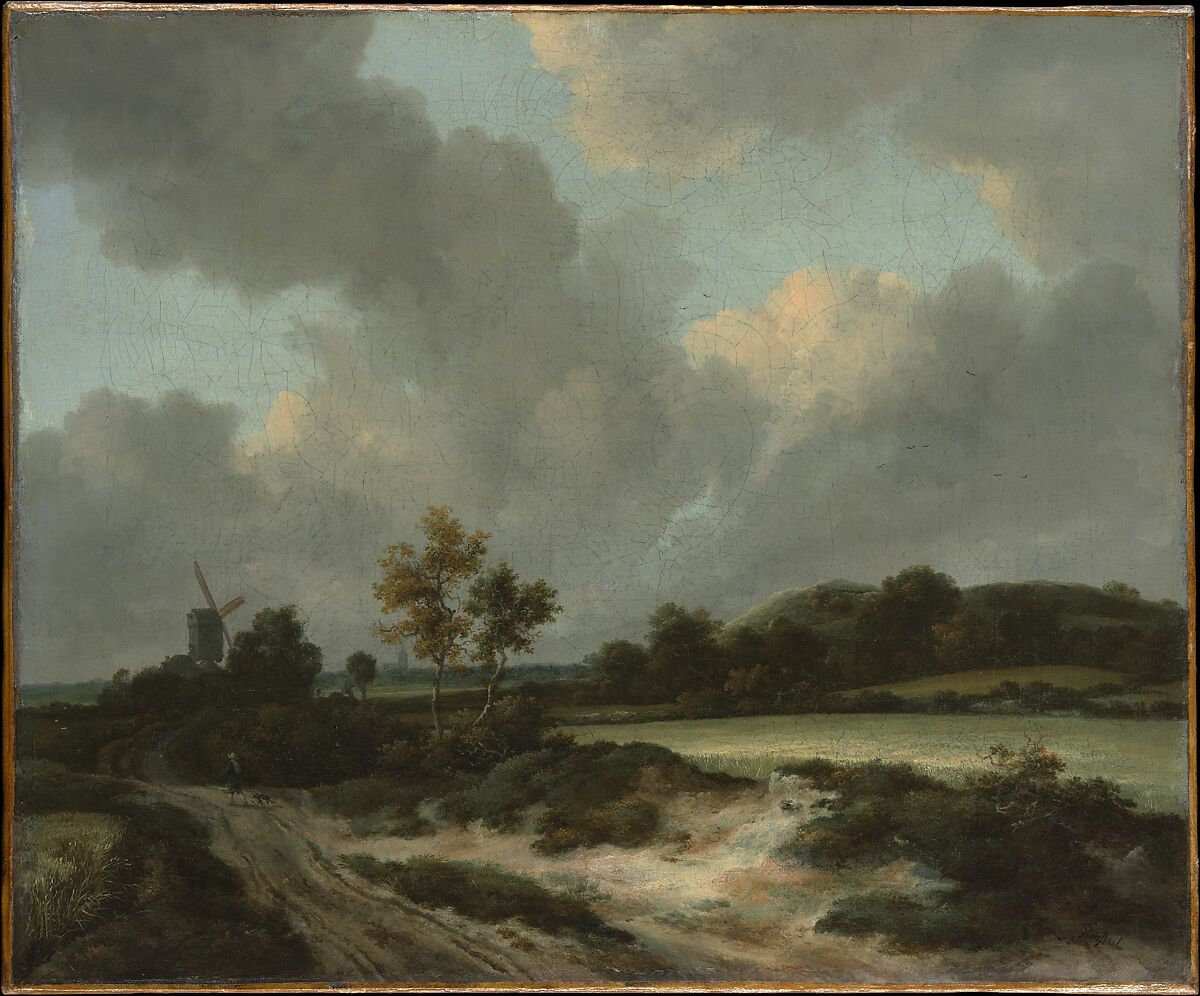 Grainfields