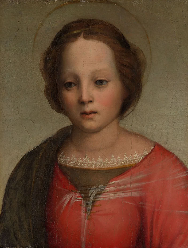 Head of the Madonna