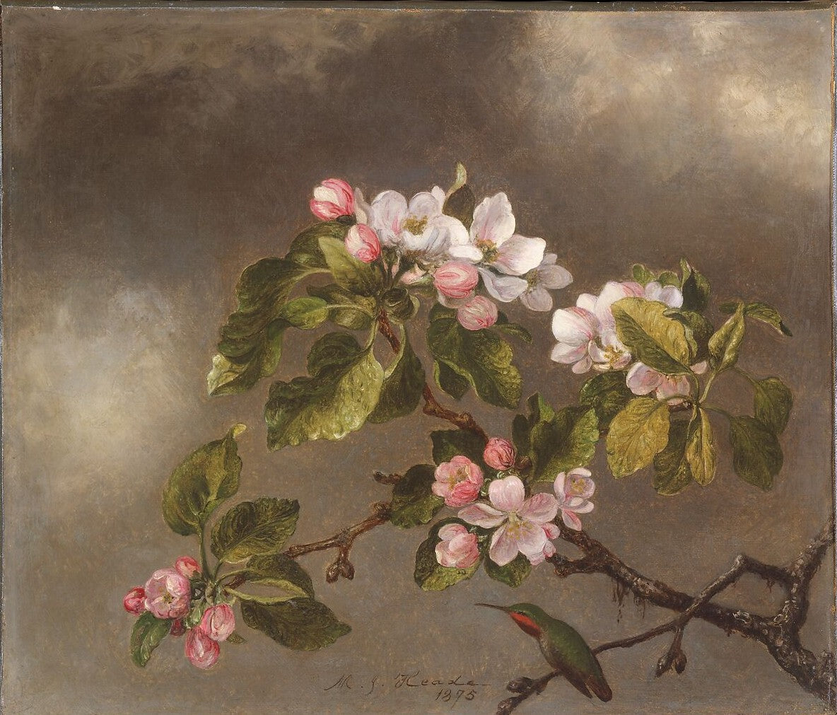 Hummingbird and Apple Blossoms