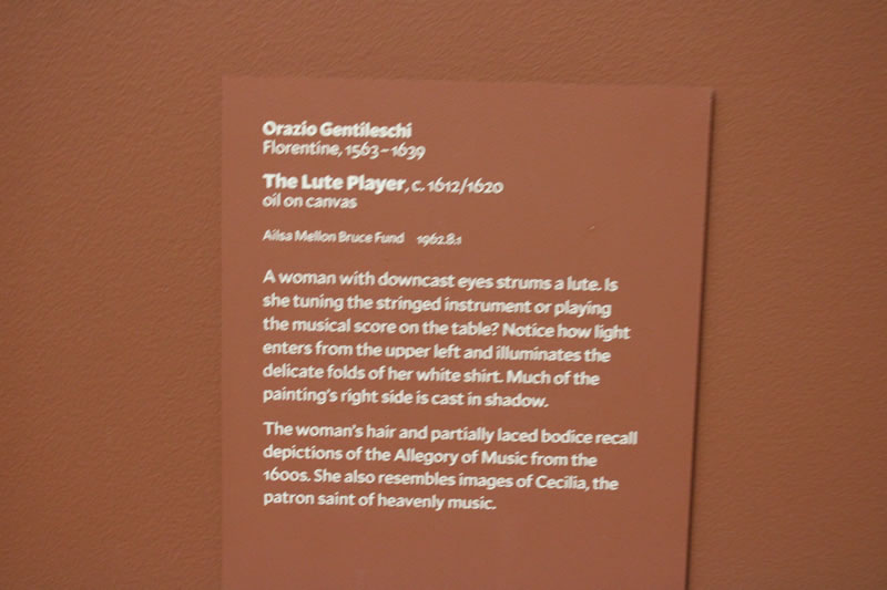 The Lute Player