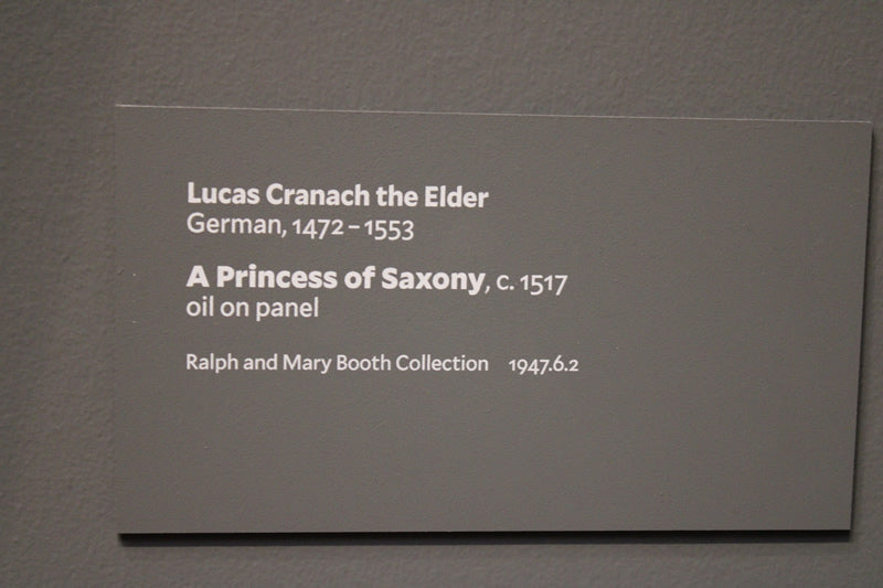 A Princess of Saxony
