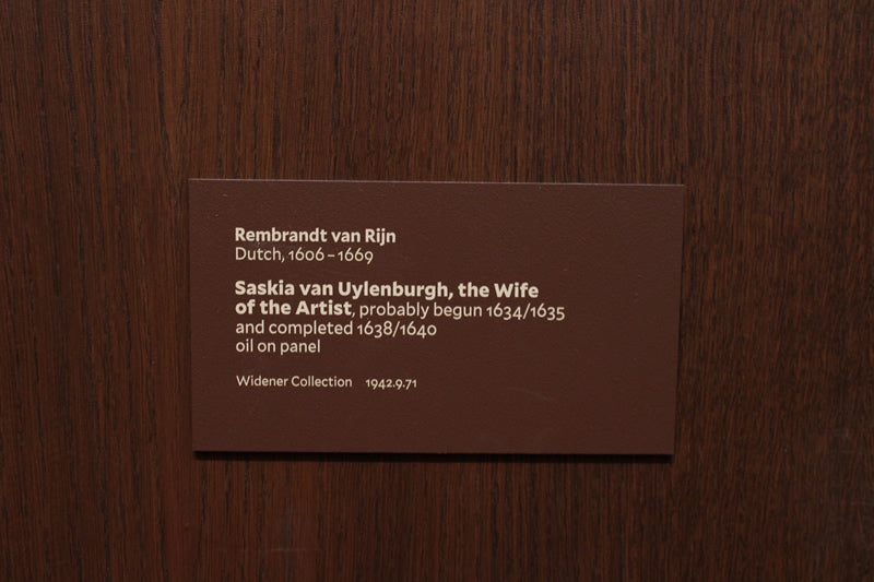 Saskia van Uylenburgh, the Wife of the Artist