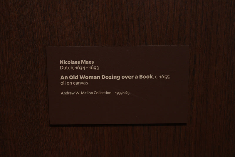 An Old Woman Dozing over a Book