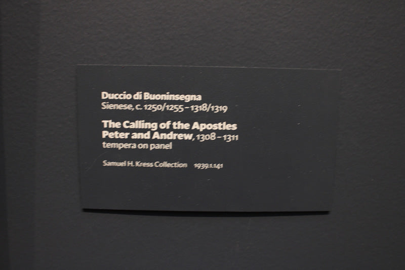The Calling of the Apostles Peter and Andrew