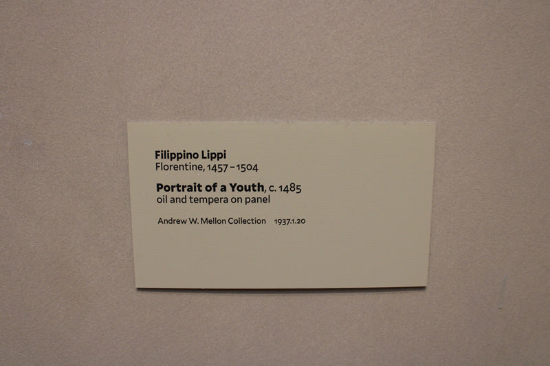 Portrait of a Youth