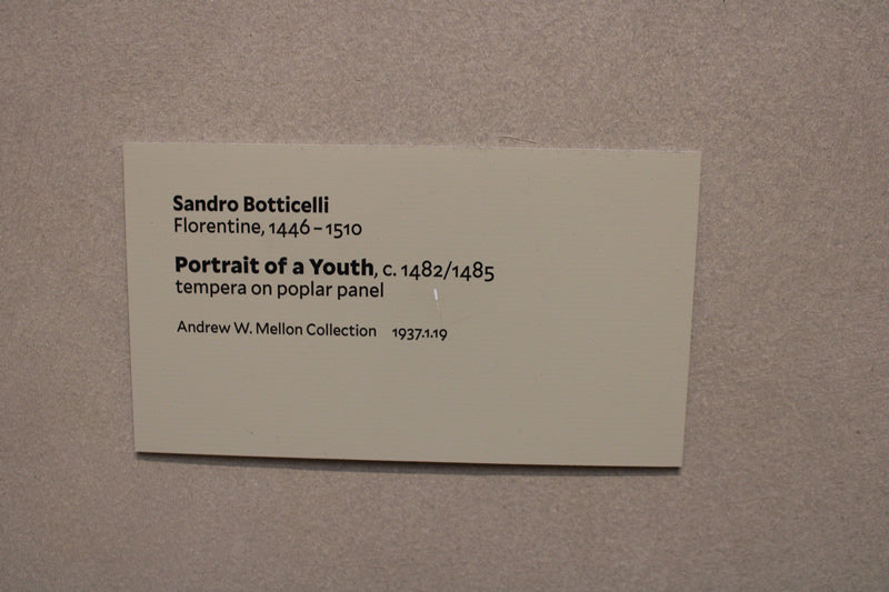 Portrait of a Youth