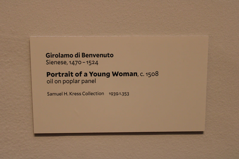 Portrait of a Young Woman