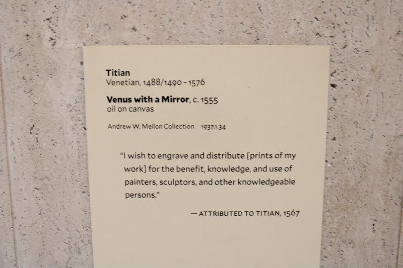Venus with a Mirror