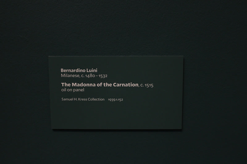 The Madonna of the Carnation