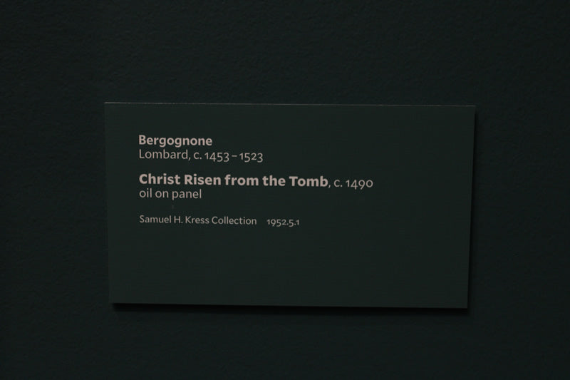 Christ Risen from the Tomb