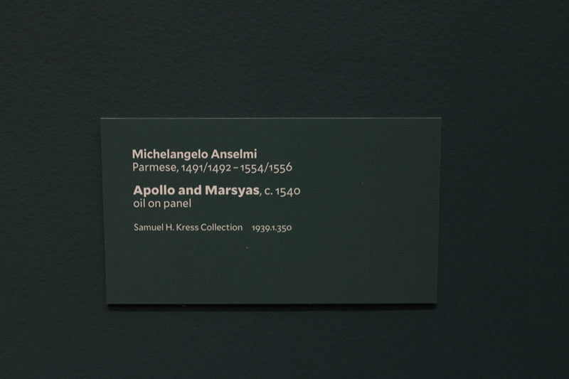 Apollo and Marsyas