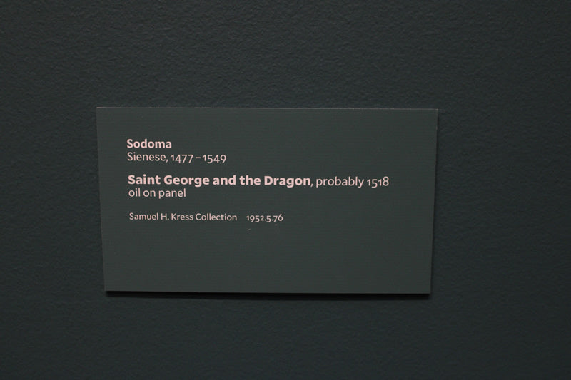 Saint George and the Dragon