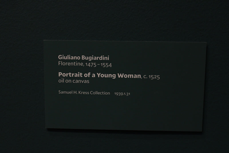 Portrait of a Young Woman