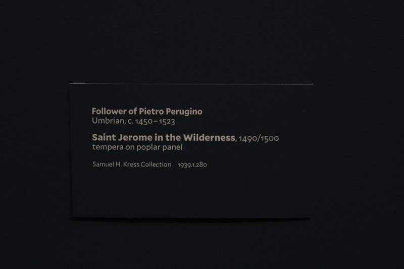 Saint Jerome in the Wilderness