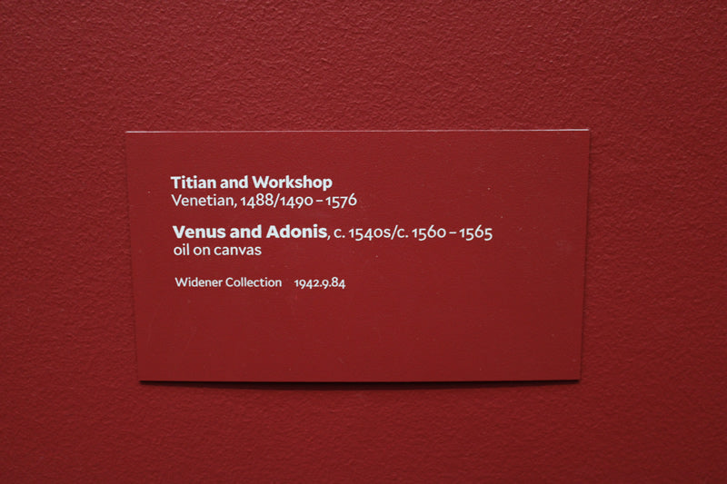 Venus and Adonis