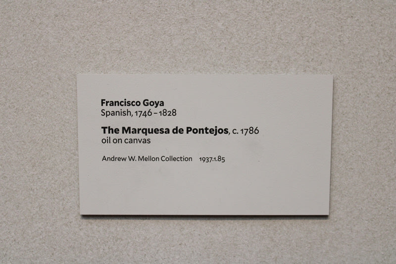 The Marquesa de Pontejos