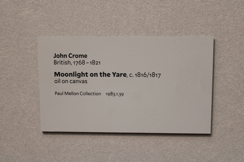 Moonlight on the Yare