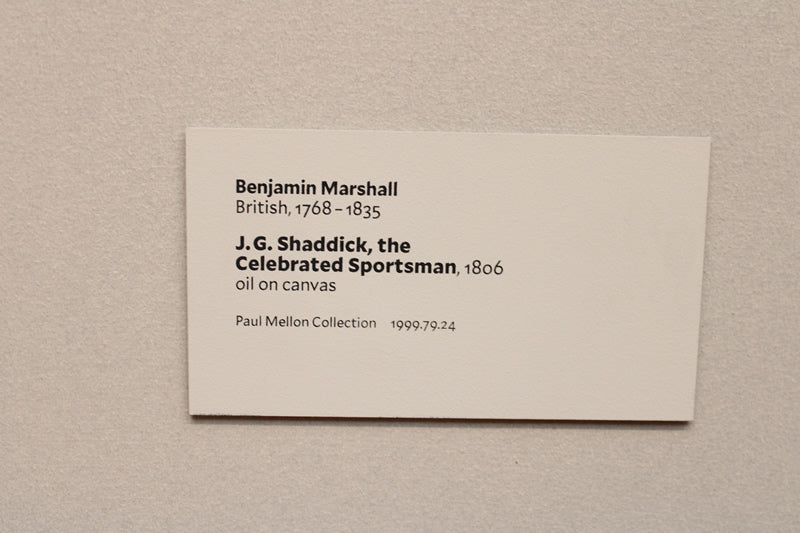 J.G. Shaddick, the Celebrated Sportsman