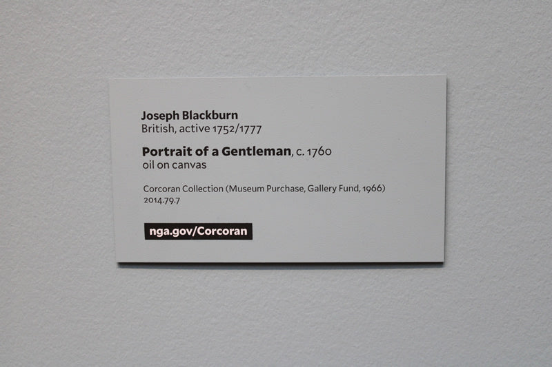 Portrait of a Gentleman