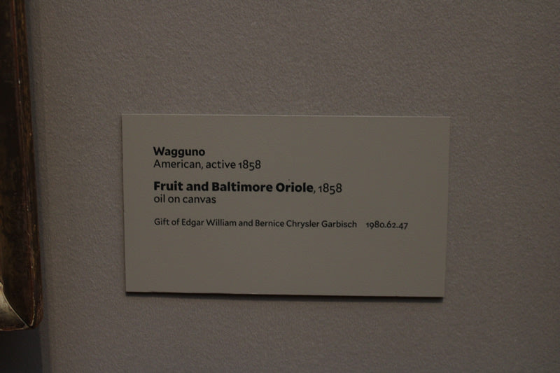 Fruit and Baltimore Oriole