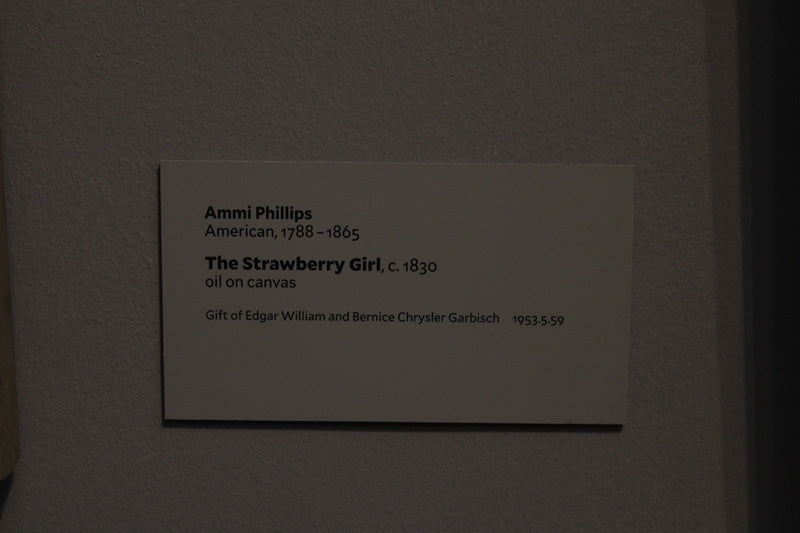 The Strawberry Girl