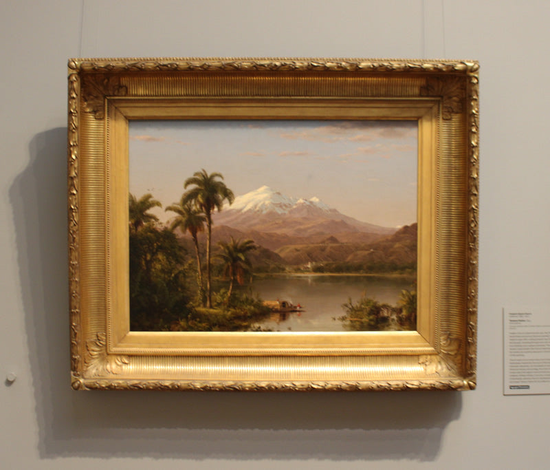 Tamaca Palms