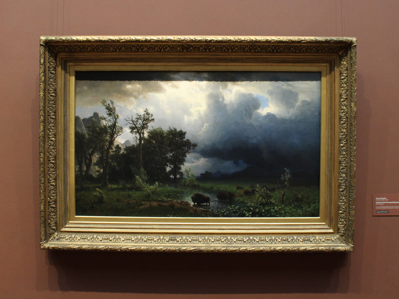 Buffalo Trail: The Impending Storm