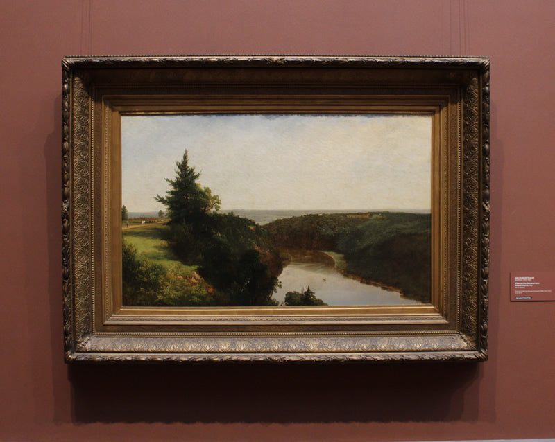 View on the Genesee near Mount Morris