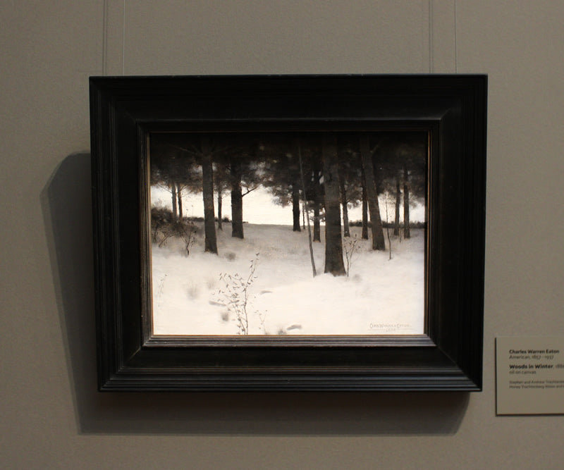 Woods in Winter