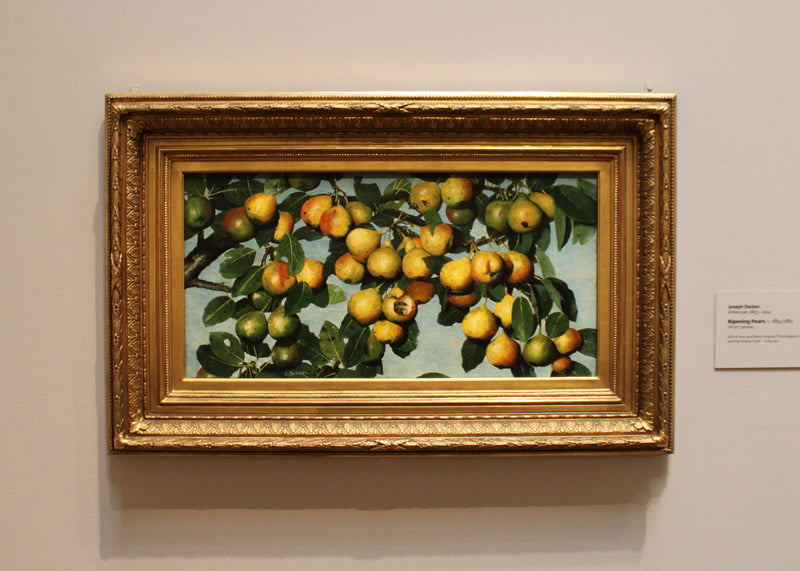 Ripening Pears