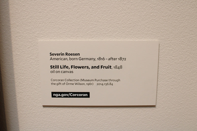 Still Life, Flowers, and Fruit