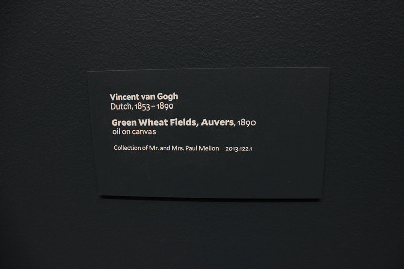 Green Wheat Fields, Auvers
