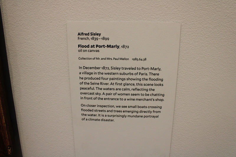 Flood at Port-Marly