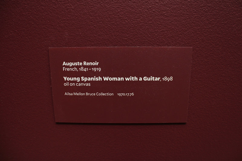 Young Spanish Woman with a Guitar
