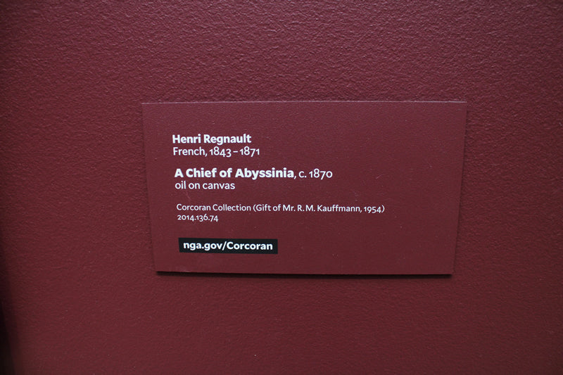 A Chief of Abyssinia