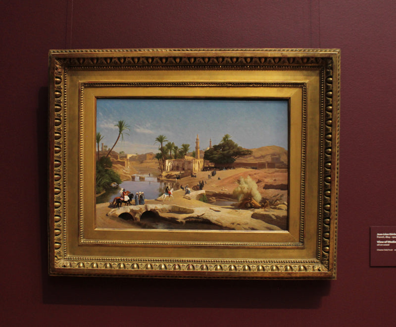 View of Medinet El-Fayoum