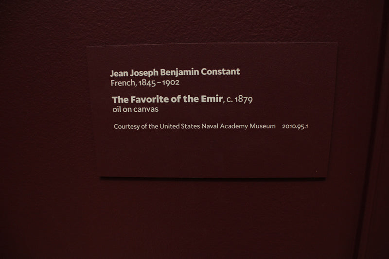 The Favorite of the Emir