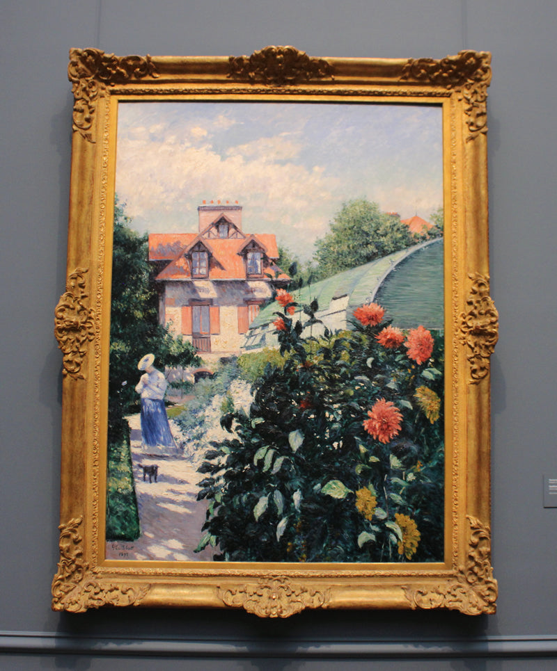 Dahlias, Garden at Petit Gennevilliers